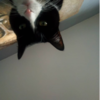 1589892723304.png