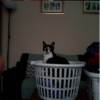 1589892857189.png