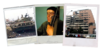 Collage3.png