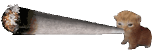5defc1b1149e269419c7eaec73741f6155448f6d.gif