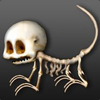 1759499888722.png