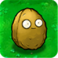 Potato