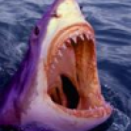 Purpleshark