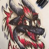 HunterTheHusky