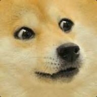 TheDoge