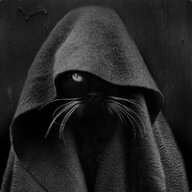 Darth Cat