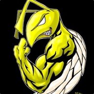TheGamingHornet