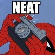 GtDubs