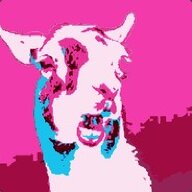 LlamasArePink
