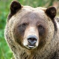 Polar