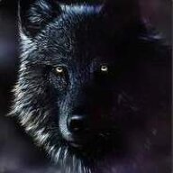 Void_Wolf357