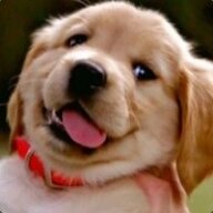 Command_Not_Recognized