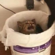 Neb