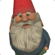 rat