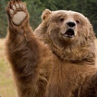 Samuel The Bear
