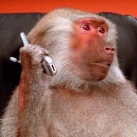 Macaque