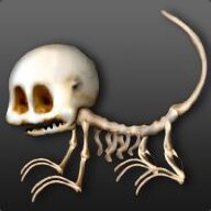 CyrusTheVirus