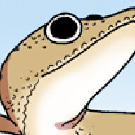 Gecko