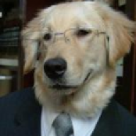 Sadhund
