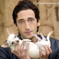 Adrien Brody
