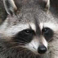 KoonScratch