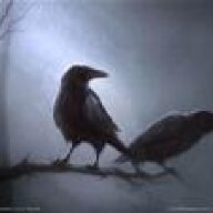 Raven