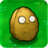 Potato