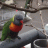 Phoenix1026