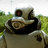 COTA.APEX-EOW.14567