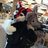 Wusky The Husky