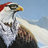 Eaglez