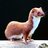 Weasel123456