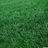 FreshlyCutLawn