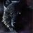 Void_Wolf357
