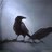Raven