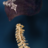 SpinE