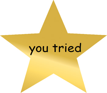 tried995_8749.jpg