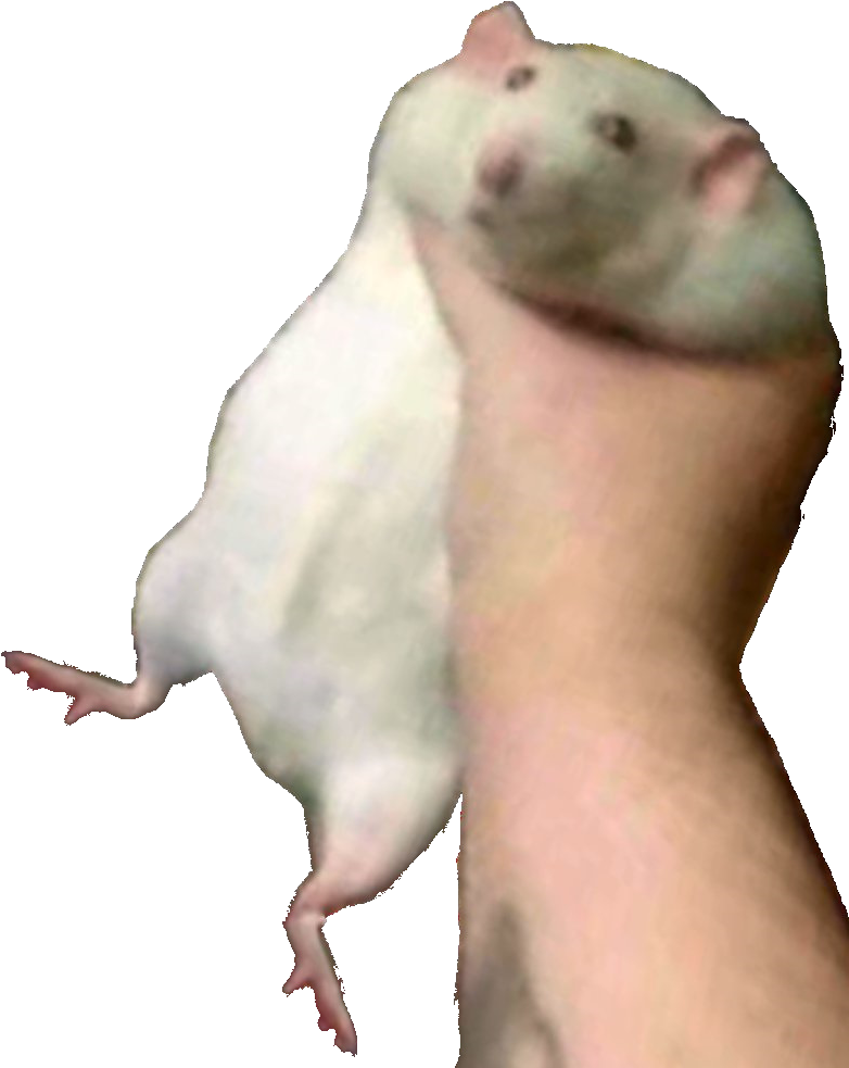 5pzohz.png