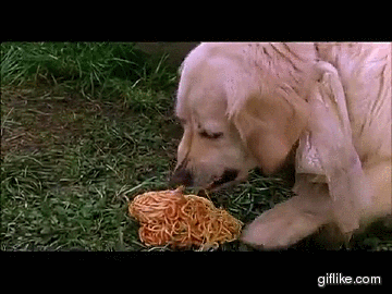 9320a8a30f7ab6a55f613fe17d258183.gif
