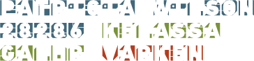 Asset4.png